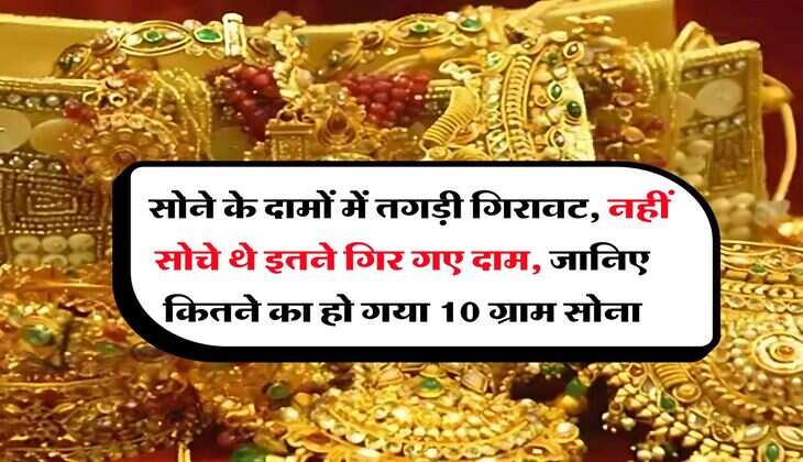 Gold Rate : सोने के दामों में तगड़ी गिरावट, नहीं सोचे थे इतने गिर गए दाम, जानिए कितने का हो गया 10 ग्राम सोना