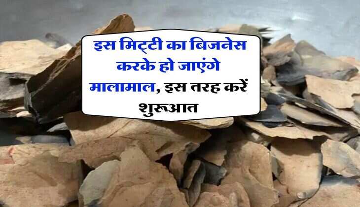 Business Idea : इस मिट्‌टी का बिजनेस करके हो जाएंगे मालामाल, इस तरह करें शुरूआत