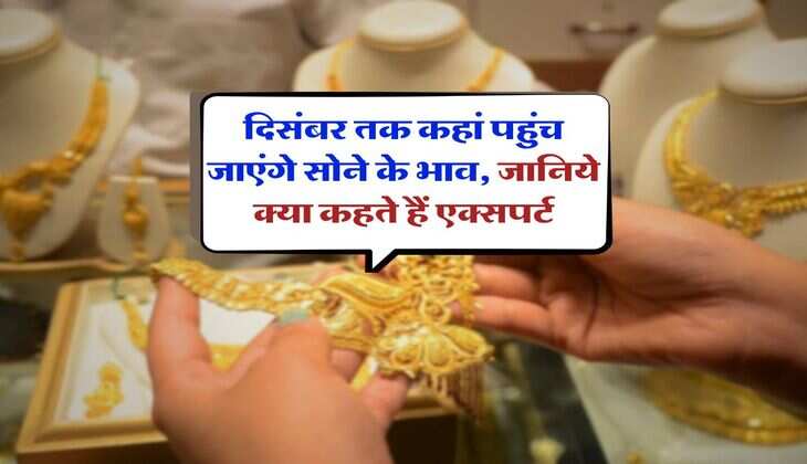 Gold Price दिसंबर तक कहां पहुंच जाएंगे सोने के भाव, जानिये क्या कहते हैं एक्सपर्ट