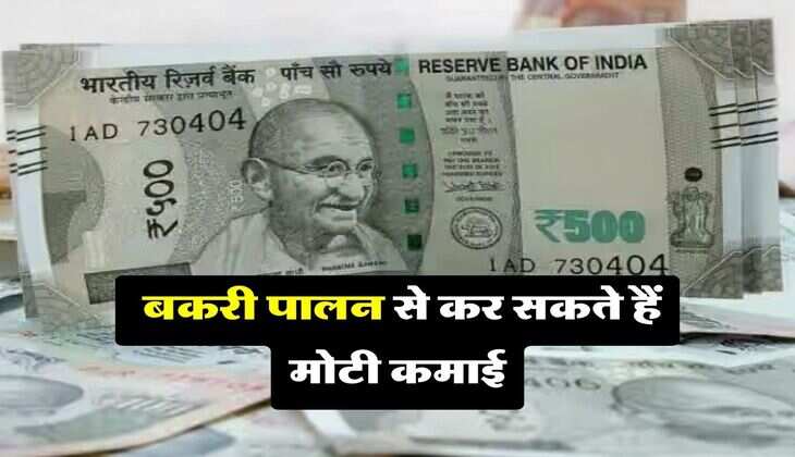 Goat Farming Business : बकरी पालन से कर सकते हैं मोटी कमाई, सरकार दे रही मोटी सब्सिडी