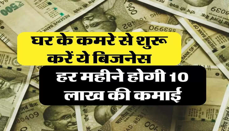 Business Idea: घर के कमरे से शुरू करें ये बिजनेस, हर महीने होगी 10 लाख की कमाई