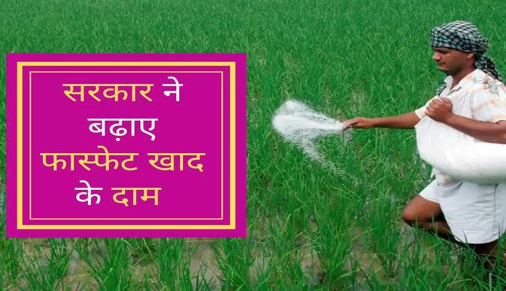 Phosphate Price: सरकार ने बढ़ाए फास्फेट खाद के दाम, जानें नए रेट