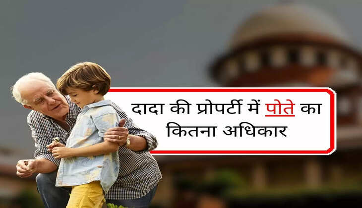 Property Rights : दादा की प्रोपर्टी में पोते का कितना अधिकार, जानें काम की बात