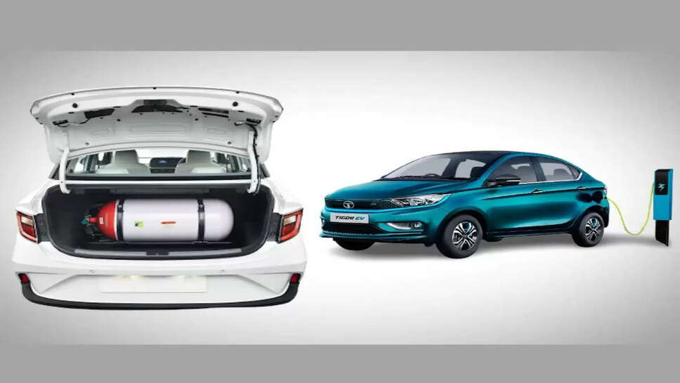 CNG-EV: खरीदने जा रहे हो CNG या&nbsp;इलेक्ट्रिक गाड़ी तो जान लें ये बातें, कहीं हो न जाए नुकसान