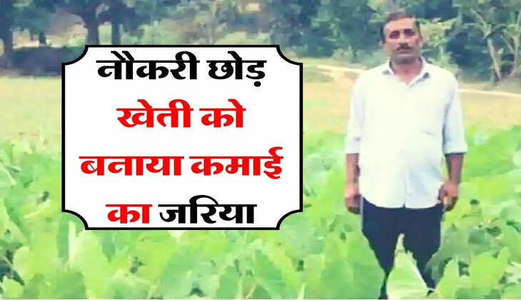 Success Story : नौकरी छोड़ खेती को बनाया कमाई का जरिया, 2 हजार की लागत में हुआ डेढ़ लाख का मुनाफा