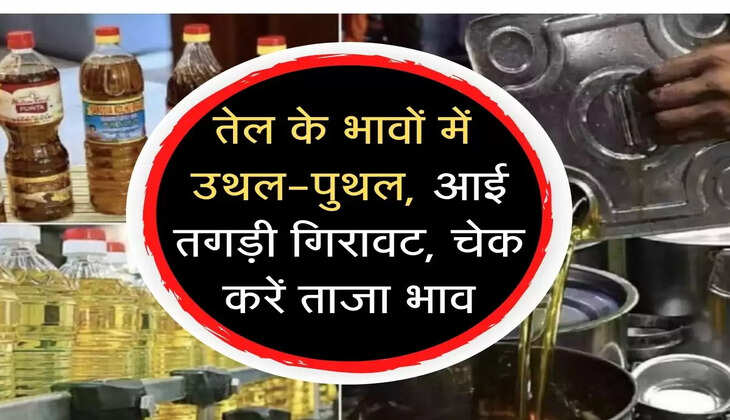 Mandi Bhav! तेल के दामों में उथल-पुथल, सरसों सहित कई तेलों के दामों में भारी गिरावट, देखें ताजा भाव