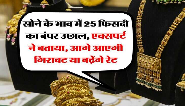 Gold Rate : सोने के भाव में 25 फिसदी का बंपर उछाल, एक्सपर्ट ने बताया, आगे आएगी गिरावट या बढ़ेंगे रेट