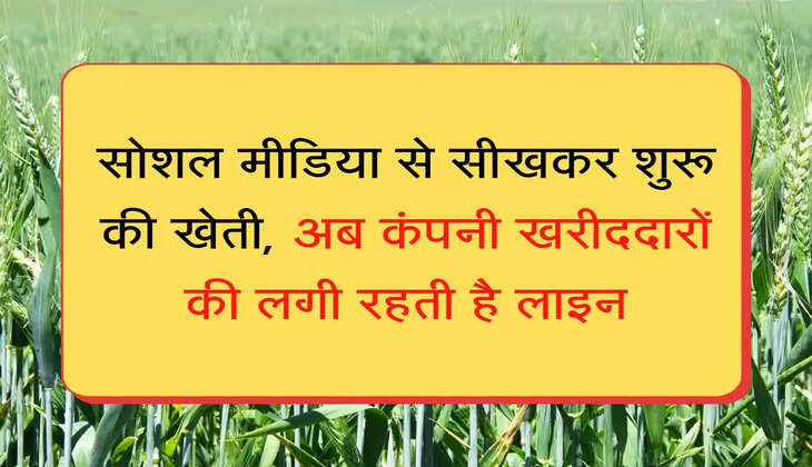 Farming Tips सोशल मीडिया से सीखकर शुरू की खेती, अब कंपनी खरीददारों की लगी रहती है लाइन