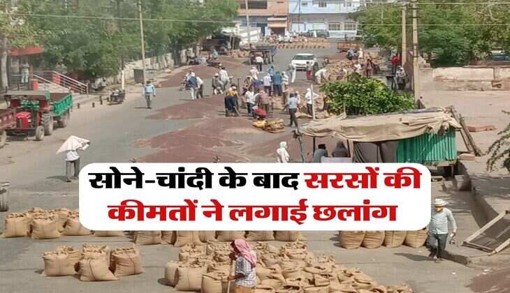 Sarso Rate : सोने-चांदी के बाद सरसों की कीमतों ने लगाई छलांग 