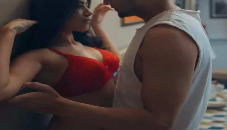 Love Affair: Used to work together in the office and when the friendship of the office (love affiar) turned into love, it was not even known and after the closure of the office, both did this work.