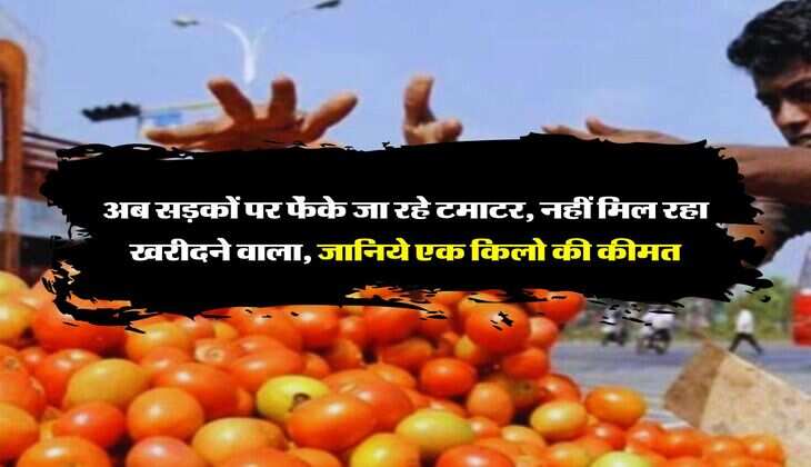 Tomato Price Today : अब सड़कों पर फेंके जा रहे टमाटर, नहीं मिल रहा खरीदने वाला, जानिये एक किलो की कीमत