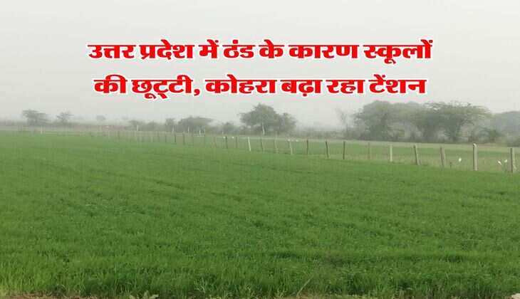 IMD UP Weather Update : उत्तर प्रदेश में ठंड के कारण स्कूलों की छूट्टी, कोहरा बढ़ा रहा टेंशन