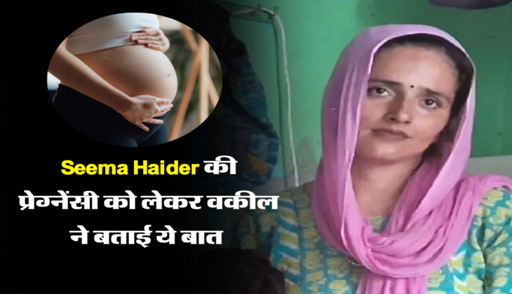 Seema Haider की प्रेग्नेंसी को लेकर वकील ने बताई ये बात&nbsp;