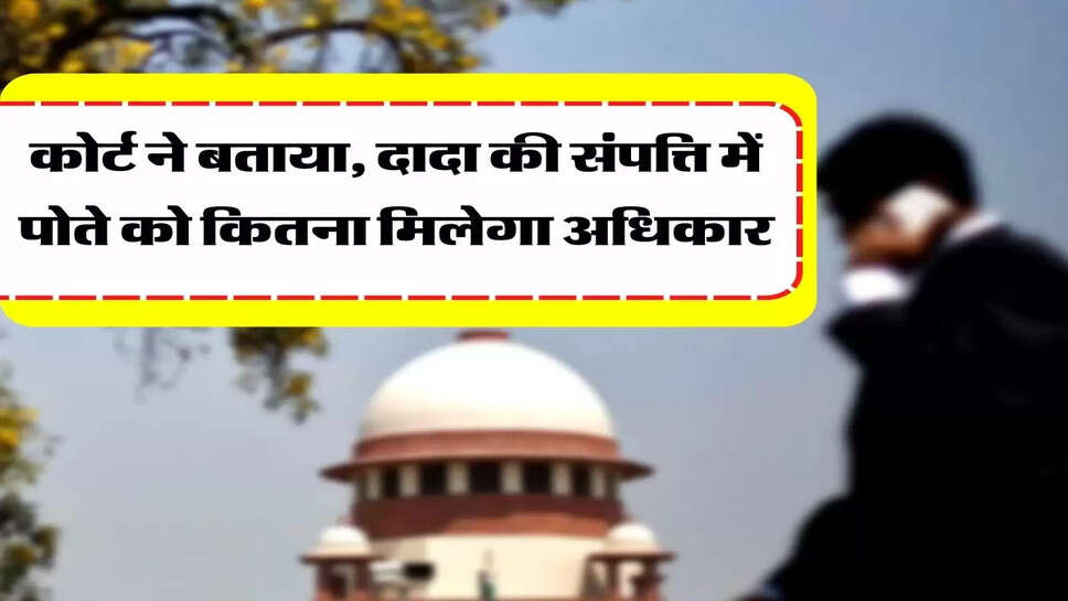 Grandfather's Property Rights&nbsp;- कोर्ट ने बताया, दादा की संपत्ति में पोते को कितना मिलेगा अधिकार