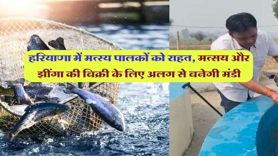 हरियाणा में मत्स्य पालकों को राहत, मत्सय और झींगा की बिक्री के लिए अलग से बनेगी मंडी