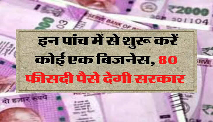 Business Ideas: इन पांच में से शुरू करें कोई एक बिजनेस, 80 फीसदी पैसे देगी सरकार 