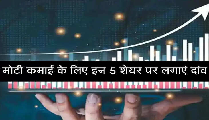 Bet on these 5 stocks to earn big