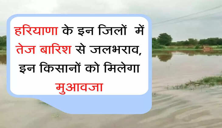 हरियाणा के इन जिलों में तेज बारिश से जलभराव, इन किसानों को मिलेगा मुआवजा