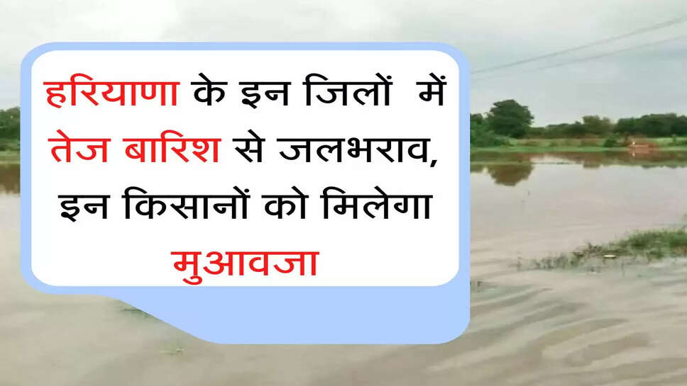 हरियाणा के इन जिलों में तेज बारिश से जलभराव, इन किसानों को मिलेगा मुआवजा