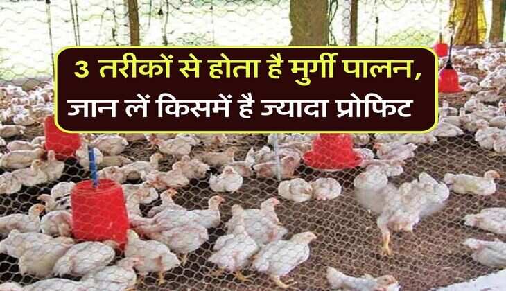 Poultry Farming : 3 तरीकों से होता है मुर्गी पालन, जान लें किसमें है ज्यादा प्रोफिट
