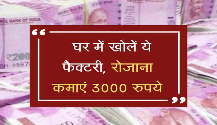 महज 75 हजार रुपये लगाकर घर में खोलें ये फैक्टरी, रोजाना कमाएं 3000 रुपये