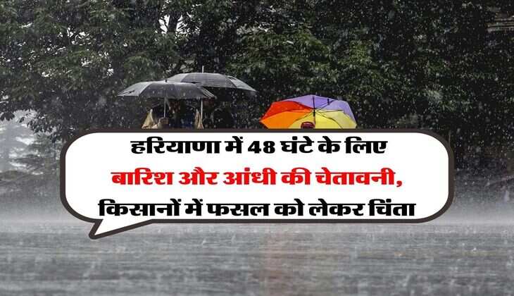 Haryana Weather : हरियाणा में 48 घंटे के लिए बारिश और आंधी की चेतावनी, किसानों में फसल को लेकर चिंता