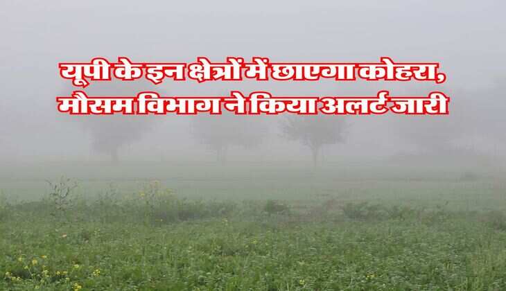 UP Weather Update : यूपी के इन क्षेत्रों में छाएगा कोहरा, मौसम विभाग ने किया अलर्ट जारी