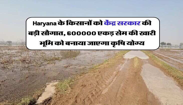 Haryana के किसानों को केंद्र सरकार की बड़ी सौगात, 600000 एकड़ सेम की खारी भूमि को बनाया जाएगा कृषि योग्य