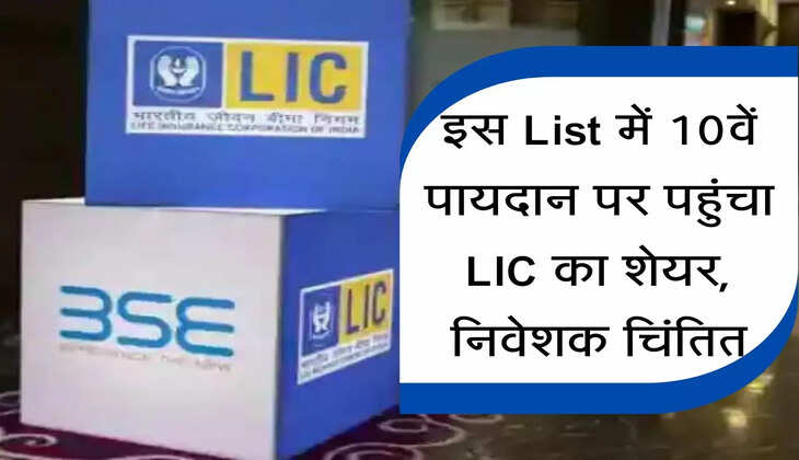 Share market : इस List में 10वें पायदान पर पहुंचा LIC का शेयर, निवेशक चिंतित