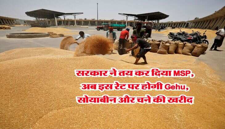 सरकार ने तय कर दिया MSP, अब इस रेट पर होगी Gehu, सोयाबीन और चने की खरीद