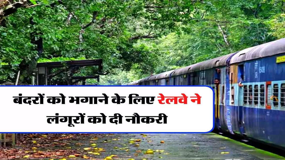 Agra Railway News : बंदरों को भगाने के लिए रेलवे ने लंगूरों को दी नौकरी