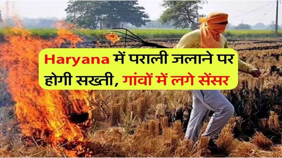 Haryana में पराली जलाने पर होगी सख्ती, गांवों में लगे सेंसर 