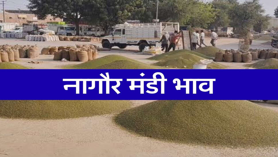 नागौर मंडी भाव 23 अक्टूबर 2026: मूंग और जीरा में उतार-चढ़ाव, सौंफ-ईसबगोल के भाव में नरमी