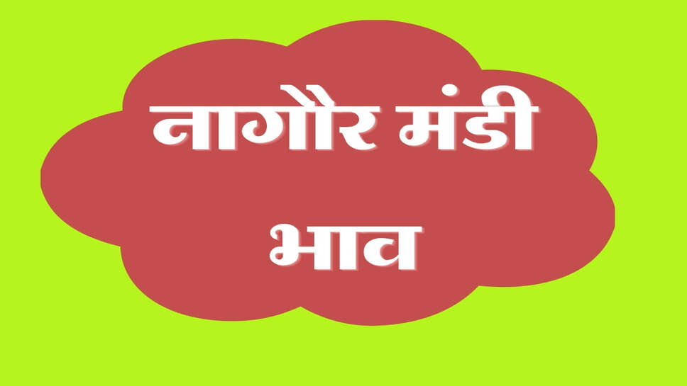 नागौर मंडी भाव 22 अक्टूबर 2026: सौंफ, सफेद तिल और काला तिल तेज, ईसबगोल-तारामीरा मंदे