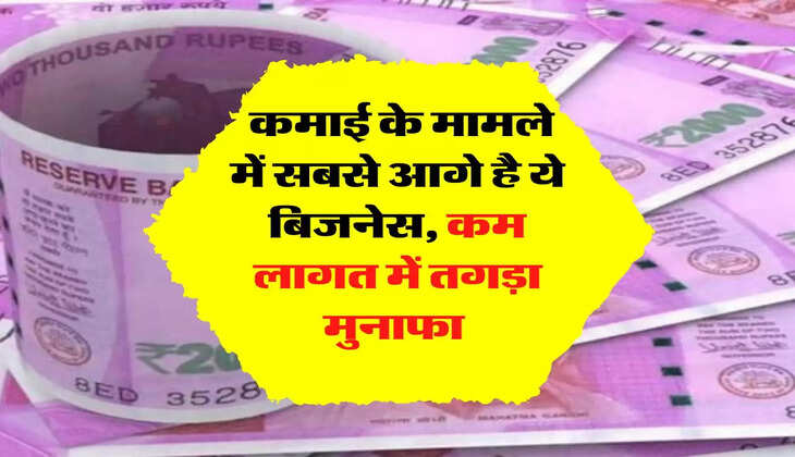 Business: कमाई के मामले में सबसे आगे है ये बिजनेस, कम लागत में तगड़ा मुनाफा 
