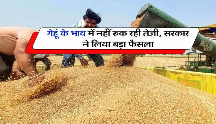 wheat price hike : गेहूं के भाव में नहीं रूक रही तेजी, सरकार ने लिया बड़ा फैसला