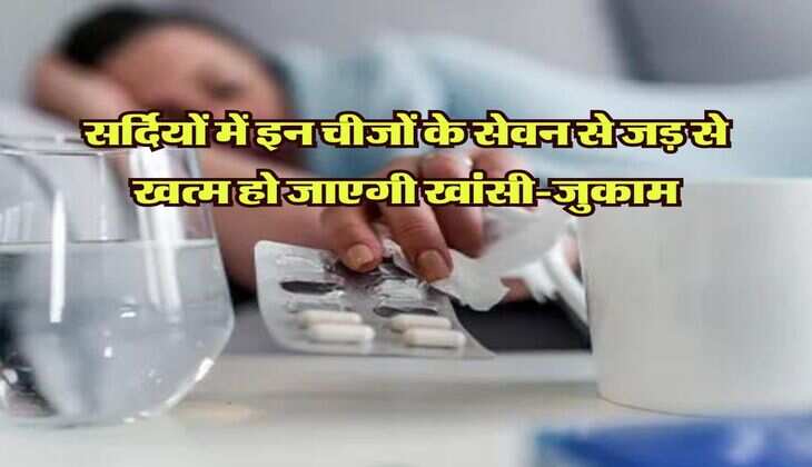 सर्दियों में इन चीजों के सेवन से जड़ से खत्म हो जाएगी खांसी-जुकाम, आज ही शुरू कर दें इन चीजों का सेवन