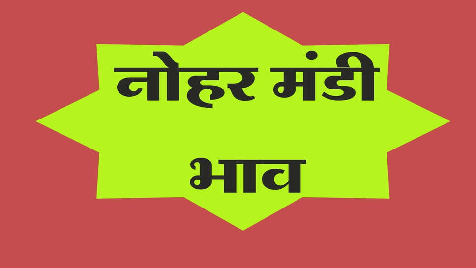 नोहर मंडी भाव 18 अक्टूबर 2026: नरमा, ग्वार, सरसों और मूंग के भाव जारी&nbsp;