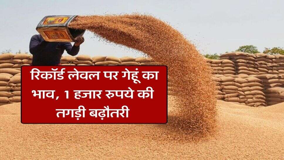 Wheat Price Hike : &nbsp;रिकॉर्ड लेवल पर गेहूं का भाव, 1 हजार रुपये की तगड़ी बढ़ौतरी