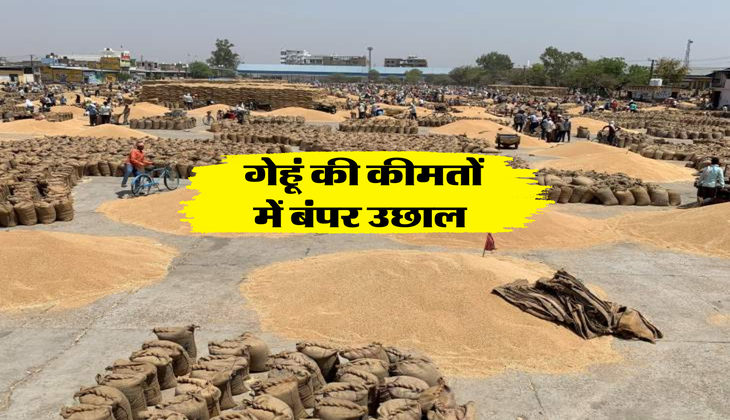 Wheat Rate : गेहूं की कीमतों में बंपर उछाल