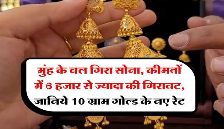Gold Rate : मुंह के बल गिरा सोना, कीमतों में 6 हजार से ज्यादा की गिरावट, जानिये 10 ग्राम गोल्ड के नए रेट