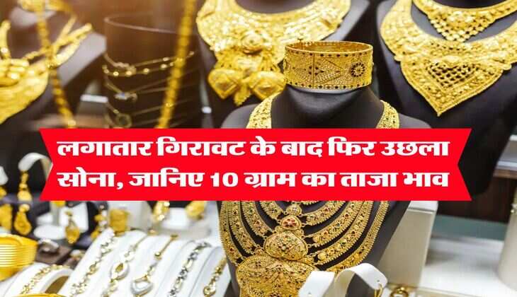 Gold Rate 5 August 2025 : लगातार गिरावट के बाद फिर उछला सोना, जानिए 10 ग्राम का ताजा भाव