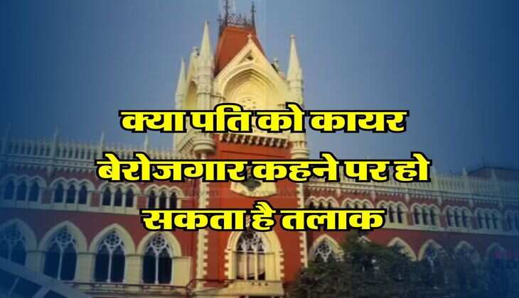 High Court Decision on Divorce : क्या पति को कायर बेरोजगार कहने पर हो सकता है तलाक, हाईकोर्ट ने बताए पतियों के कानूनी अधिकार
