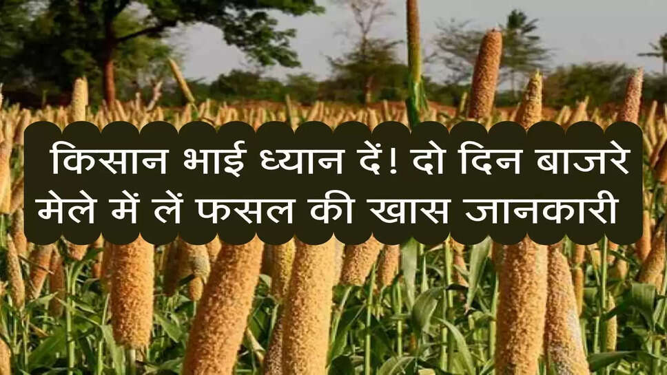 Millet Fair : किसान भाई ध्यान दें! दो दिन बाजरे मेले में लें फसल की खास जानकारी&nbsp;