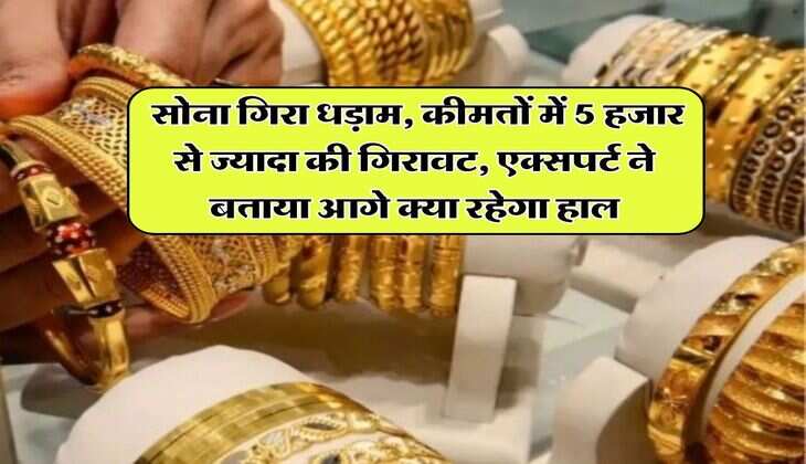 Gold Rate : सोना गिरा धड़ाम, कीमतों में 5 हजार से ज्यादा की गिरावट, एक्सपर्ट ने बताया आगे क्या रहेगा हाल