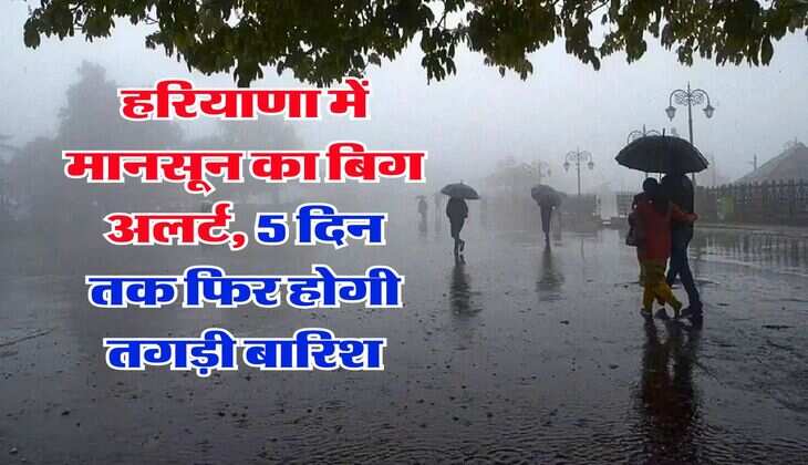 Haryana me barish : हरियाणा में मानसून का बिग अलर्ट, 5 दिन तक फिर होगी तगड़ी बारिश