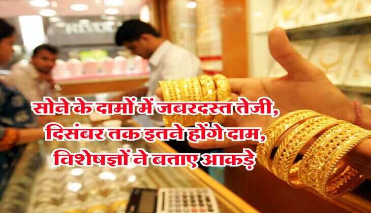 Gold Rate : सोने के दामों में जबरदस्त तेजी, दिसंबर तक इतने होंगे दाम, विशेषज्ञों ने बताए आकड़े &nbsp;