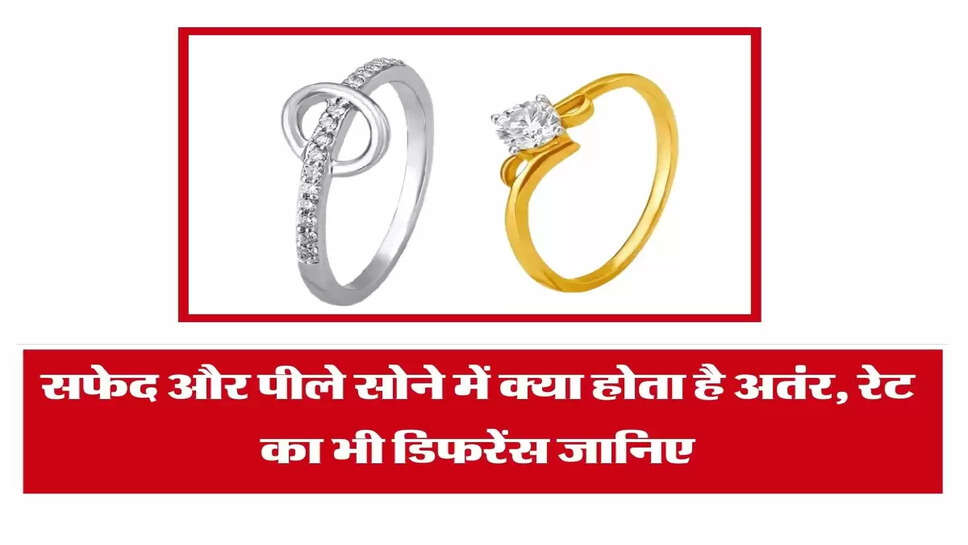 Gold : सफेद और पीले सोने में क्या होता है अतंर, रेट का भी डिफरेंस जानिए