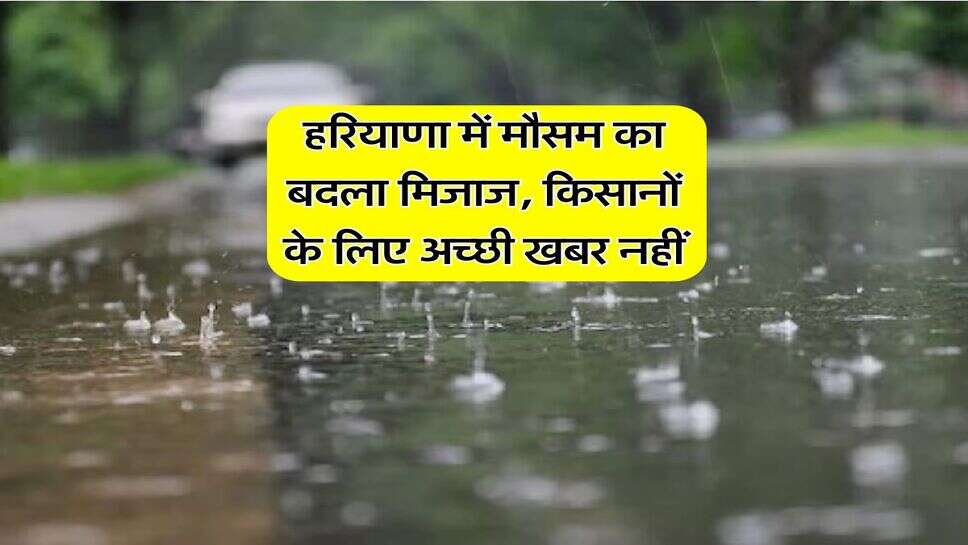 Haryana weather : हरियाणा में मौसम का बदला मिजाज, किसानों के लिए अच्छी खबर नहीं