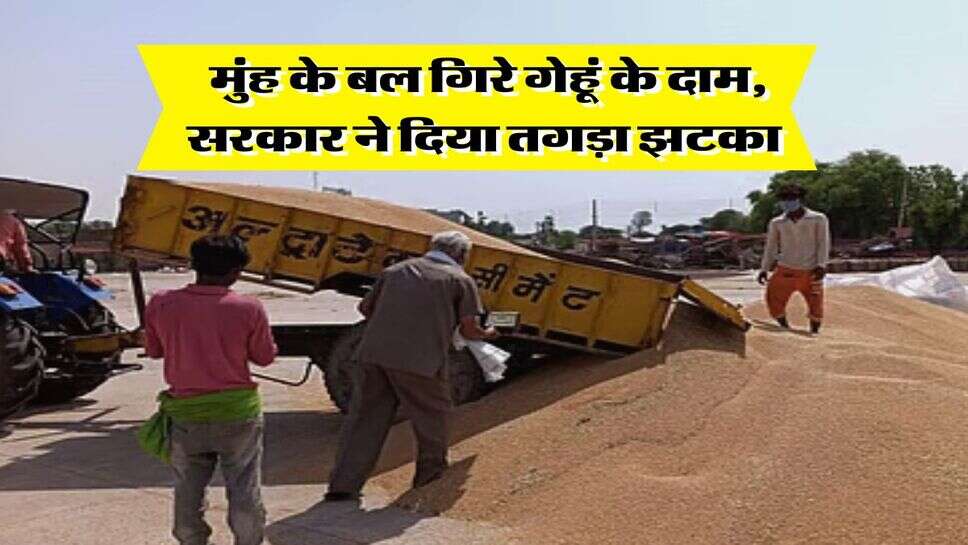 Wheat Price Down : मुंह के बल गिरे गेहूं के दाम, सरकार ने दिया तगड़ा झटका&nbsp;